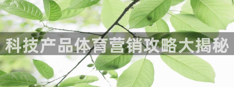 金年会官方网址查询