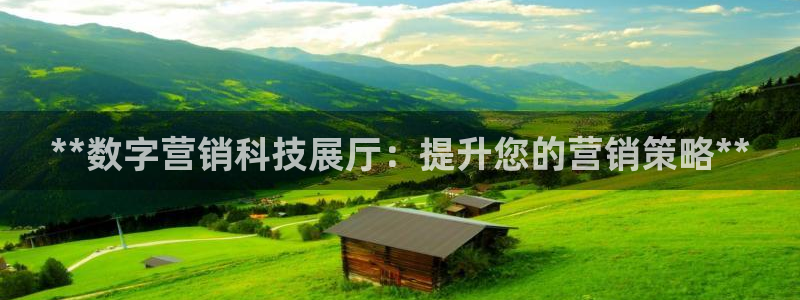 金年会平台官网下载