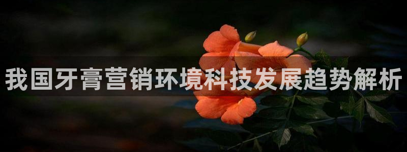 金年会app登录官网