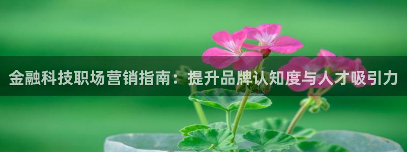 金年会下载