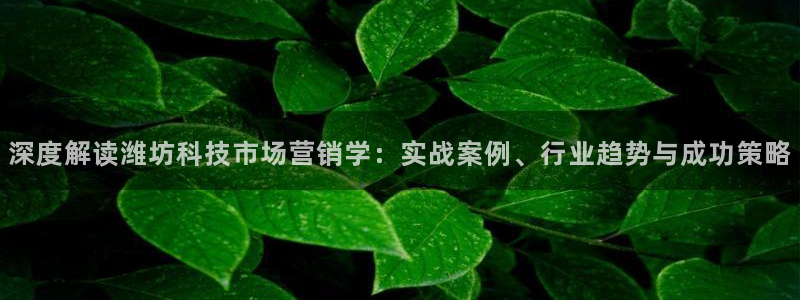 金年会app官网