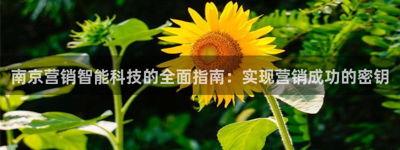金年会金字招牌诚信
