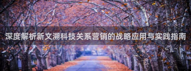 金年会体育全站