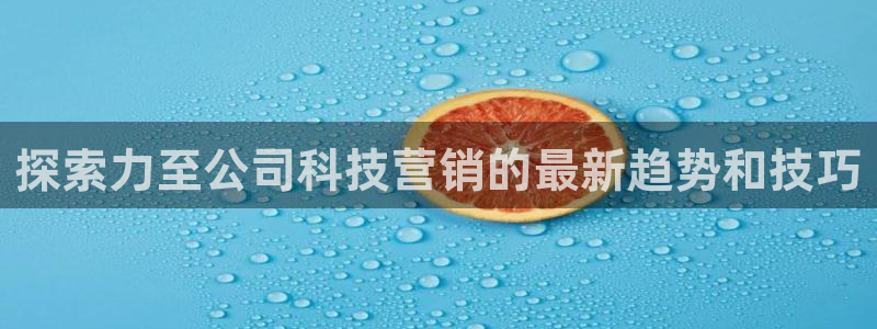 金年会电子app官方下载