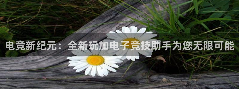 易游电竞：电竞新纪元：全新玩加电子竞技助手为您无限可能