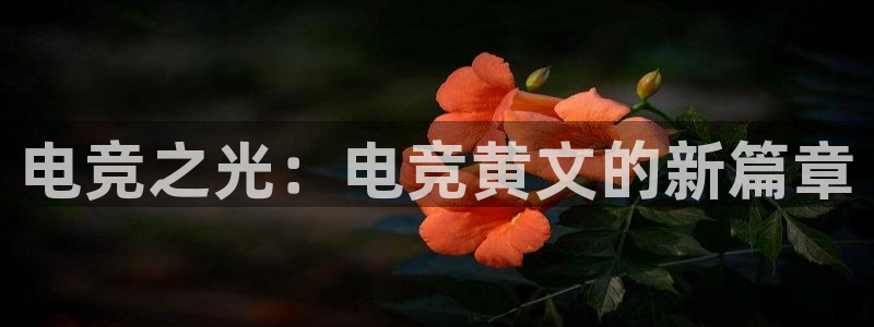 易游电竞：电竞之光：电竞黄文的新篇章