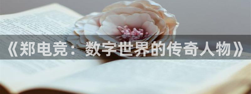 易游电竞：《郑电竞：数字世界的传奇人物》