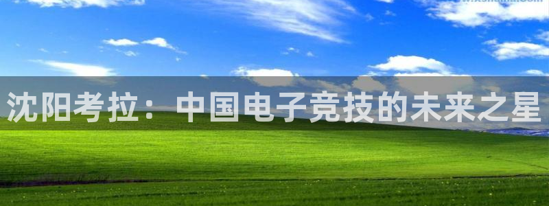 易游电竞：沈阳考拉：中国电子竞技的未来之星