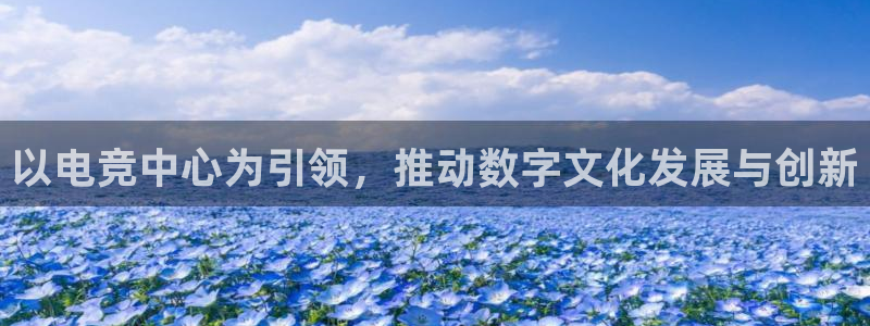 易游电竞官网：以电竞中心为引领，推动数字文化发展与创新