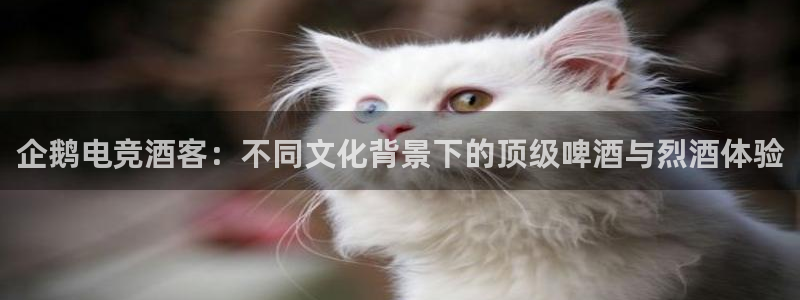 易游电竞官网：企鹅电竞酒客：不同文化背景下的顶级啤酒与烈酒体验
