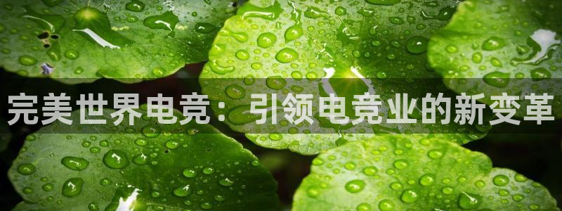 易游电竞：完美世界电竞：引领电竞业的新变革