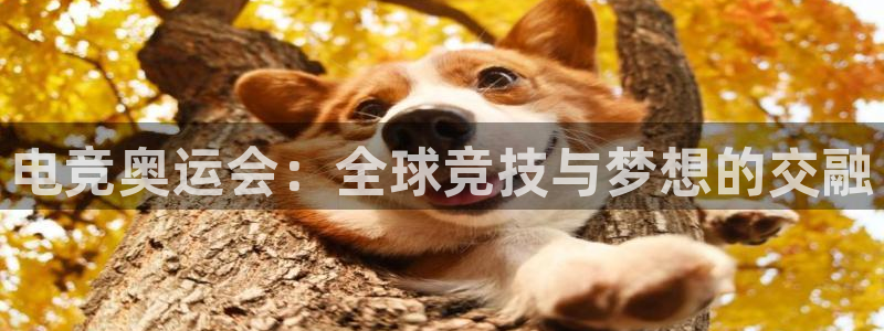 易游电竞官网