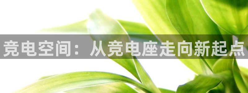 易游电竞官网
