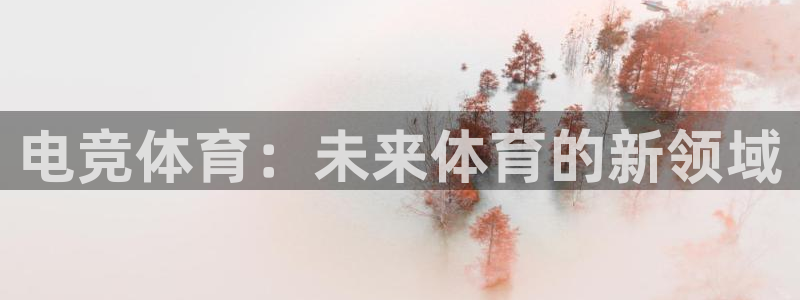 易游电竞官网：电竞体育：未来体育的新领域