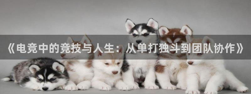 易游电竞官网：《电竞中的竞技与人生：从单打独斗到团队协作》