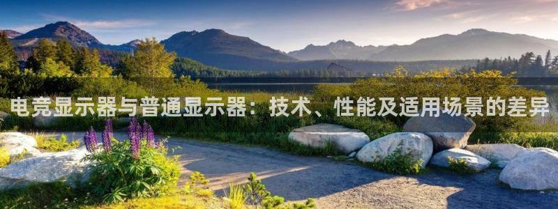 易游电竞官网：电竞显示器与普通显示器：技术、性能及适用场景的差异