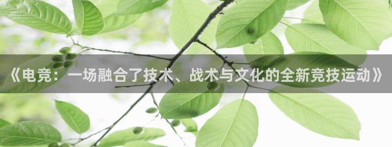 易游电竞官网：《电竞：一场融合了技术、战术与文化的全新竞技运动》
