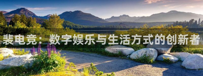 易游电竞官网：裴电竞：数字娱乐与生活方式的创新者