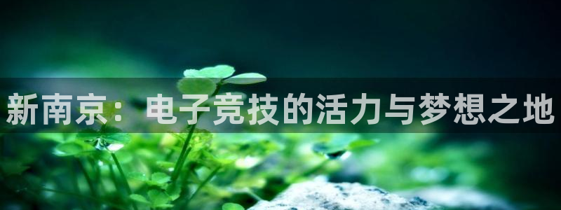 易游电竞：新南京：电子竞技的活力与梦想之地