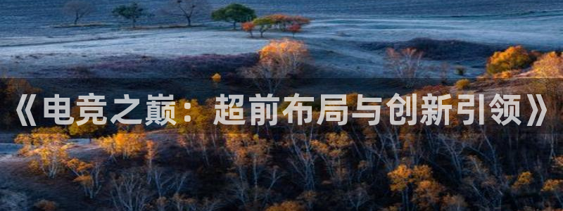 易游电竞：《电竞之巅：超前布局与创新引领》