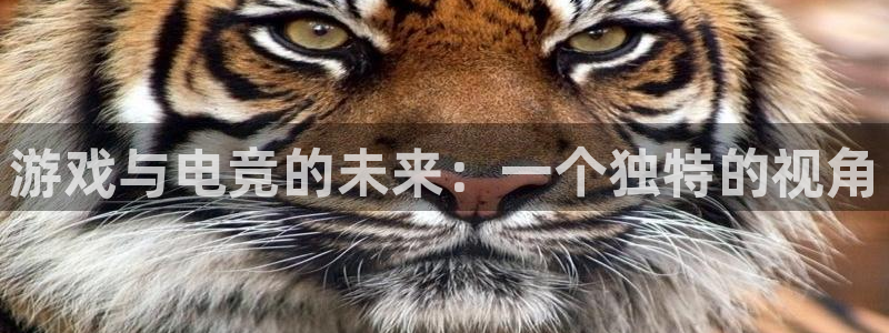 易游电竞官网：游戏与电竞的未来：一个独特的视角