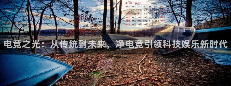易游电竞官网：电竞之光：从传统到未来，净电竞引领科技娱乐新时代