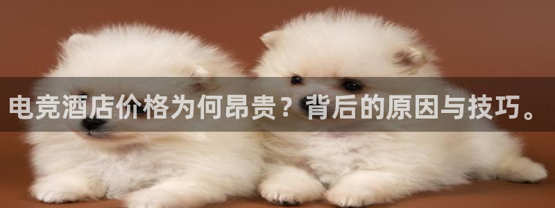 易游电竞官网：电竞酒店价格为何昂贵？背后的原因与技巧。