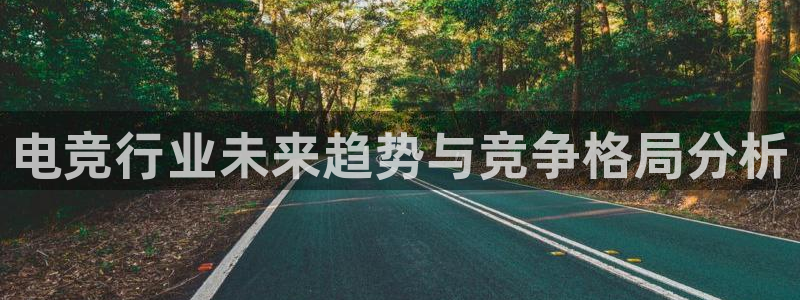 易游电竞官网：电竞行业未来趋势与竞争格局分析