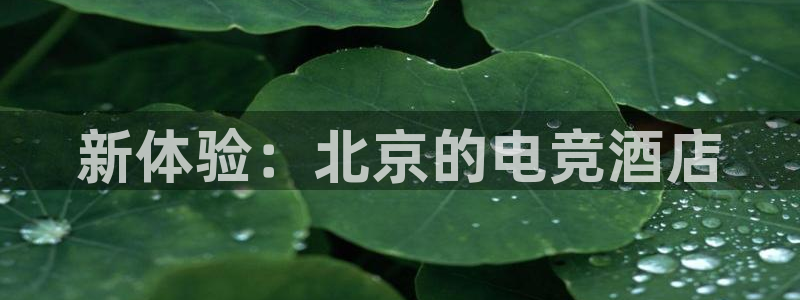 易游电竞：新体验：北京的电竞酒店