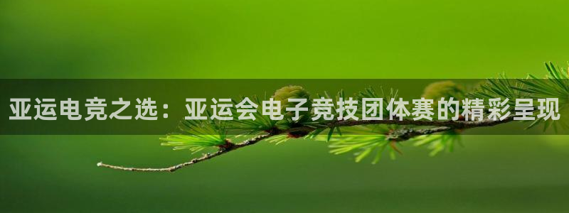 易游电竞：亚运电竞之选：亚运会电子竞技团体赛的精彩呈现