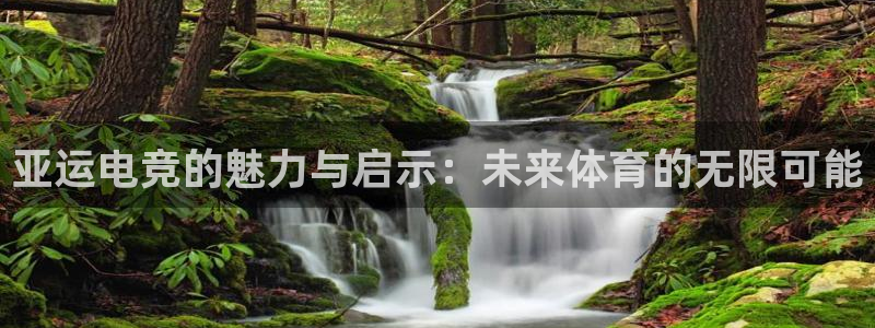 易游电竞：亚运电竞的魅力与启示：未来体育的无限可能