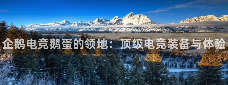易游电竞官网：企鹅电竞鹅蛋的领地：顶级电竞装备与体验