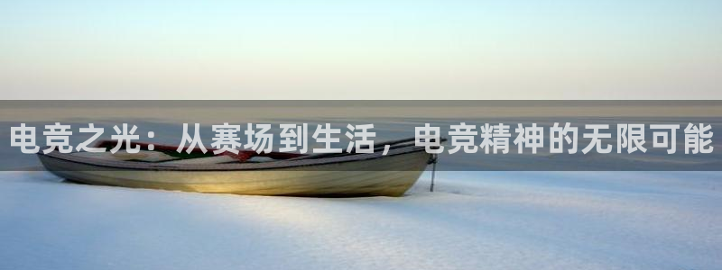 易游电竞官网：电竞之光：从赛场到生活，电竞精神的无限可能