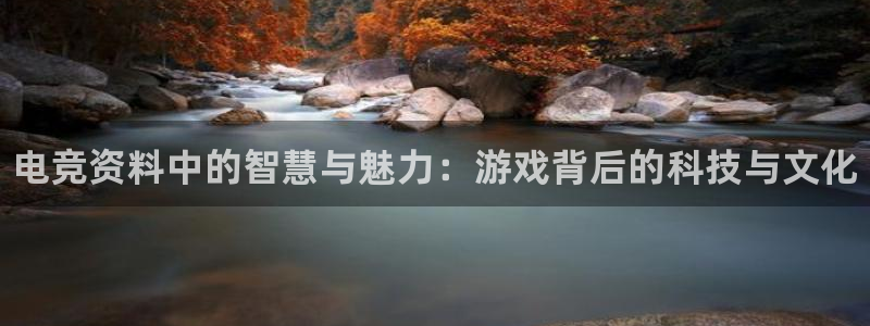 易游电竞：电竞资料中的智慧与魅力：游戏背后的科技与文化