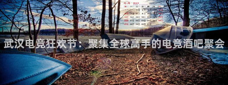 易游电竞：武汉电竞狂欢节：聚集全球高手的电竞酒吧聚会