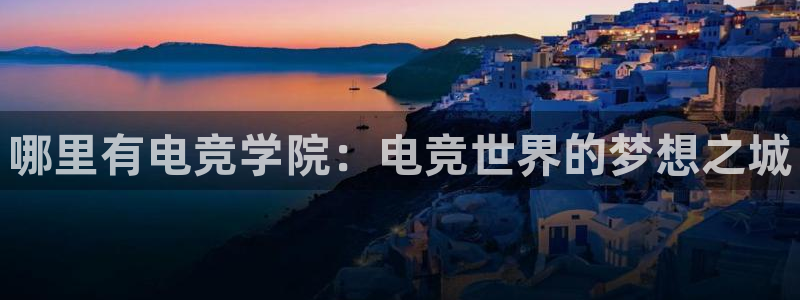 易游电竞官网：哪里有电竞学院：电竞世界的梦想之城