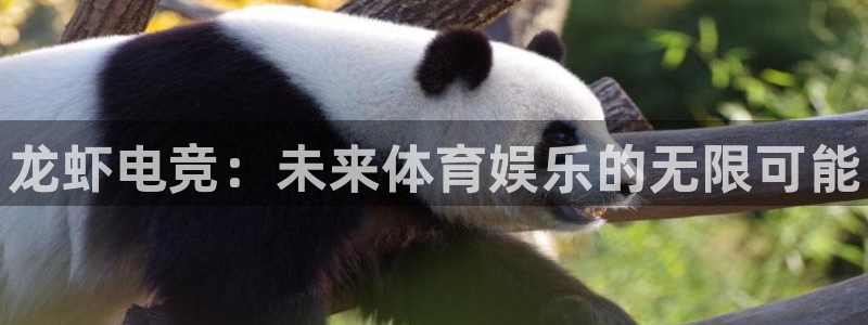 易游电竞官网：龙虾电竞：未来体育娱乐的无限可能