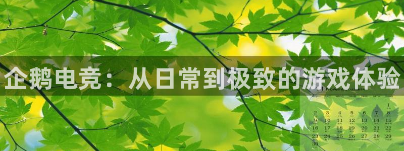 易游电竞：企鹅电竞：从日常到极致的游戏体验