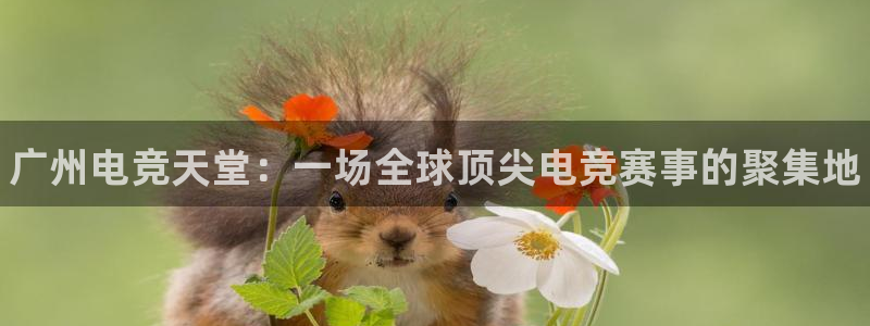 易游电竞官网：广州电竞天堂：一场全球顶尖电竞赛事的聚集地