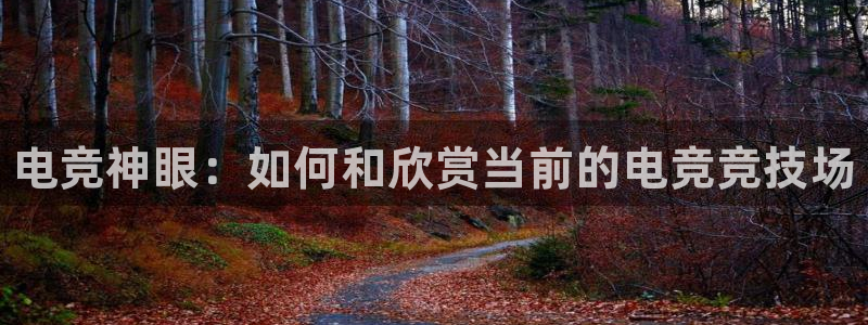 易游电竞官网：电竞神眼：如何和欣赏当前的电竞竞技场