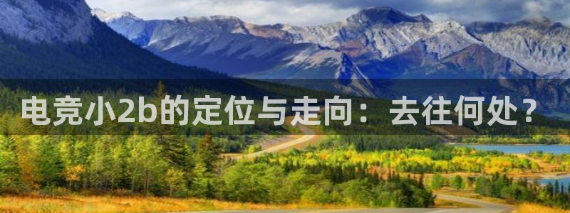 易游电竞：电竞小2b的定位与走向：去往何处？