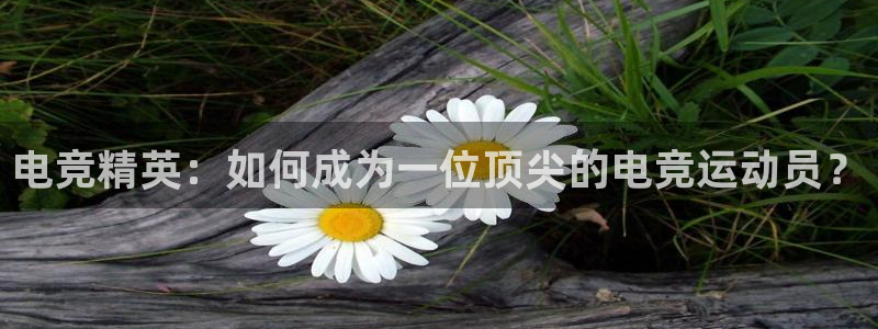易游电竞官网：电竞精英：如何成为一位顶尖的电竞运动员？