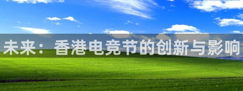 易游电竞官网：未来：香港电竞节的创新与影响