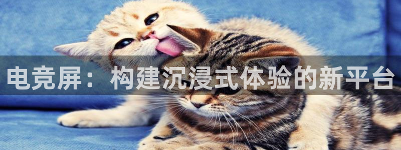 易游电竞：电竞屏：构建沉浸式体验的新平台