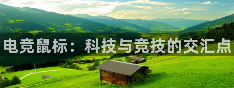 易游电竞：电竞鼠标：科技与竞技的交汇点