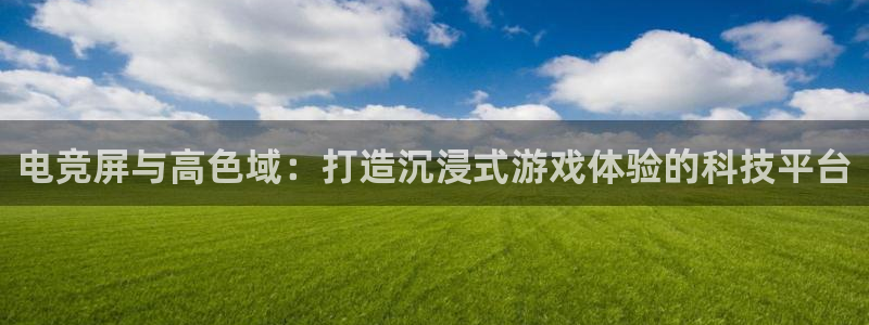 易游电竞官网：电竞屏与高色域：打造沉浸式游戏体验的科技平台