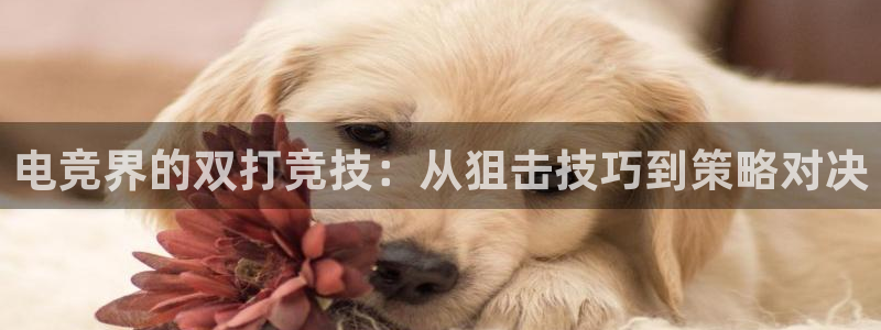 易游电竞：电竞界的双打竞技：从狙击技巧到策略对决