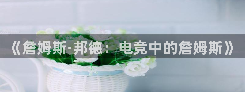 易游电竞官网：《詹姆斯·邦德：电竞中的詹姆斯》