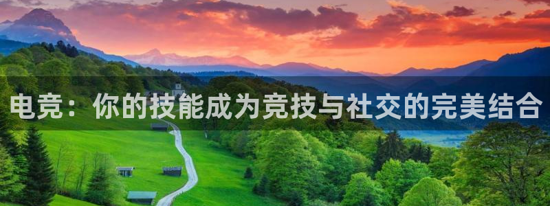 易游电竞：电竞：你的技能成为竞技与社交的完美结合