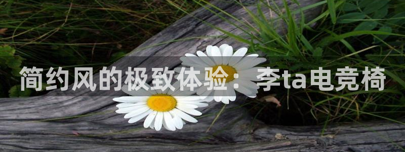 易游电竞官网：简约风的极致体验：李ta电竞椅